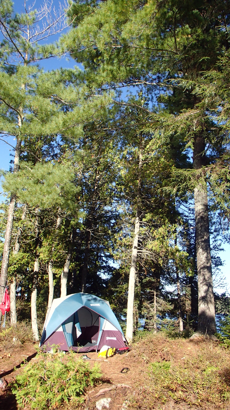 Tent in morning sun