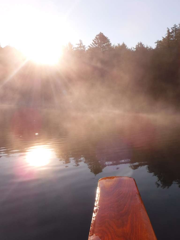 Early morning - Algonquin Park