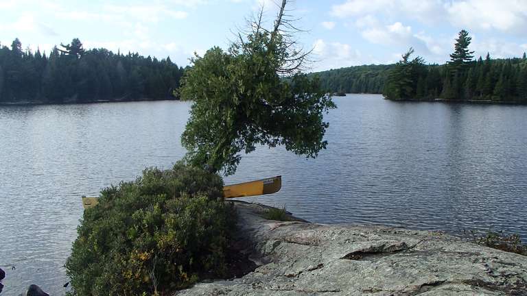 Round Island Lake campsite