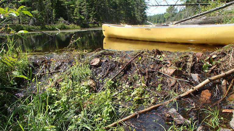 Beaver dam / Portage take-out along Carcajou Creek